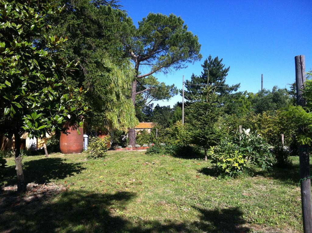 Villa Nunzia Cupramontana Bagian luar foto